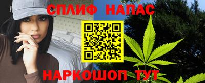 индика Краснознаменск