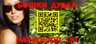 индика Краснознаменск