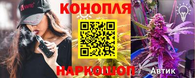 индика Краснознаменск