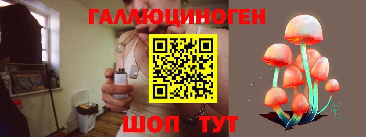 Галлюциногенные грибы Psilocybe  Вход с VPN  Десногорск 
